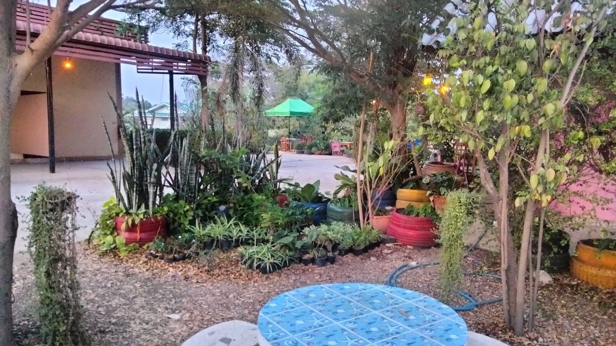 Sena House | Dome Resort