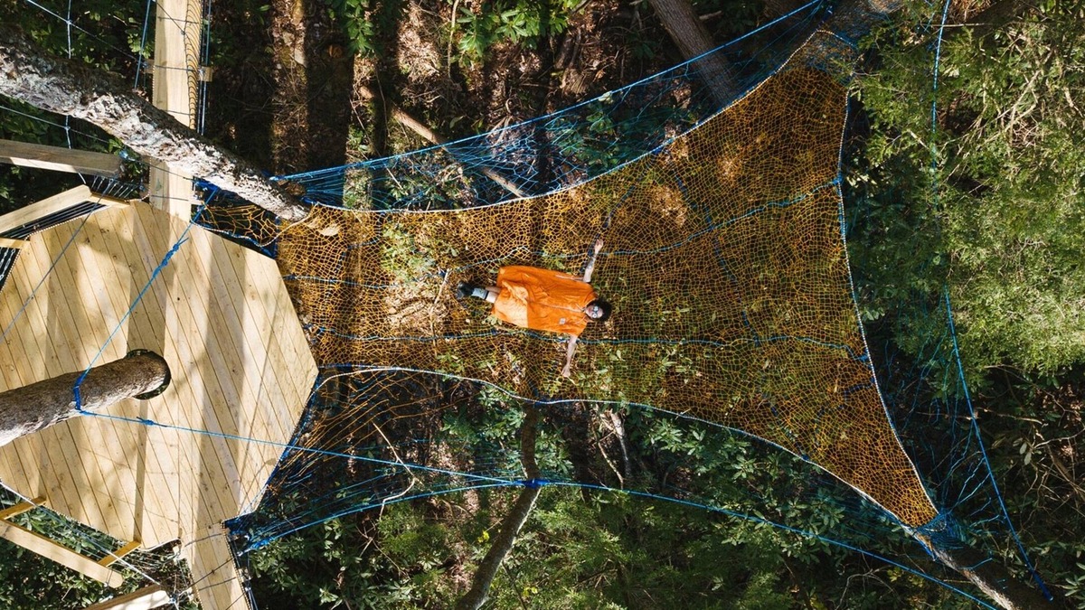Rogers Hotel | Dome Town: Book all 3 Dome Town Treehouses!