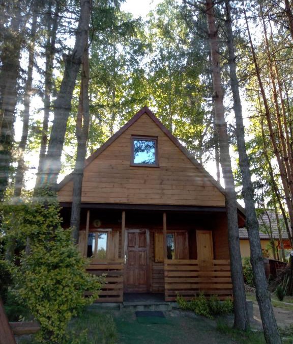 Rakow House | Domek Dzięciołek