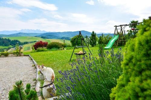 Lapsze Nizne Apartment | Domek na wzgórzu