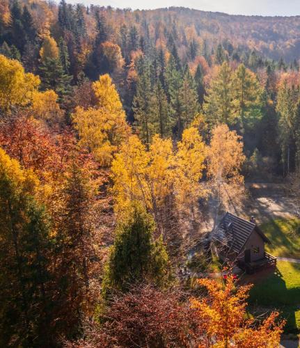 Cisna Apartment | Domek w lesie DiABELSKi KOCiOŁEK