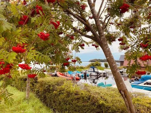 Bad Kleinen Apartment | Domizil Bad Kleinen