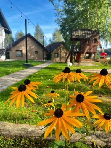 Myczkow House | Domki Letniskowe Widokówka Myczków