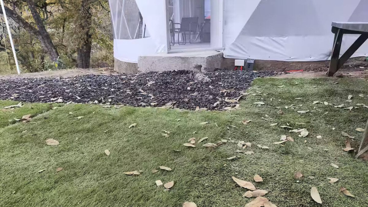 Alvaro Obregon Bed & Breakfast | Domo Cabaña y Jacuzzi en la CDMX - Glamping