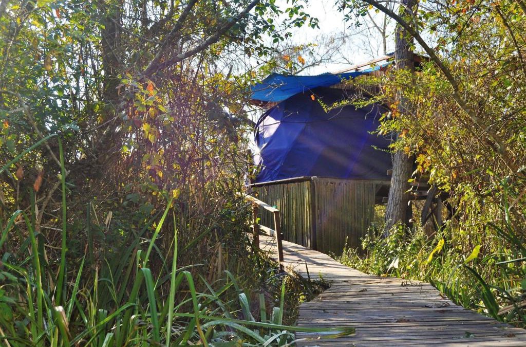 Partido de Tigre House | Domo de la Selva Tigre