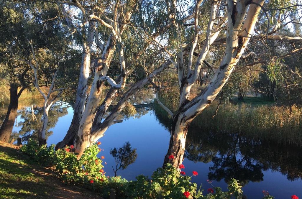 Donald Hotel | Donald Riverside Motel