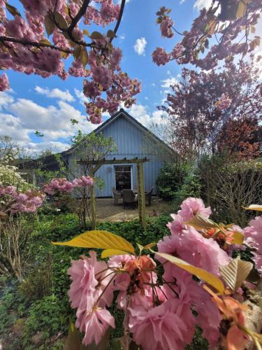 Hollenstedt House | Donner