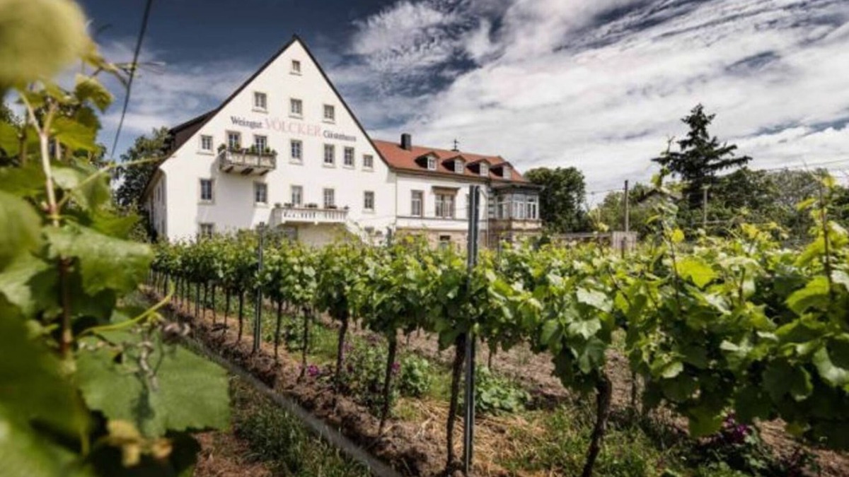 Mußbach Bed & Breakfast | Double room, shower, toilet, street side - winery - guest house Völcker