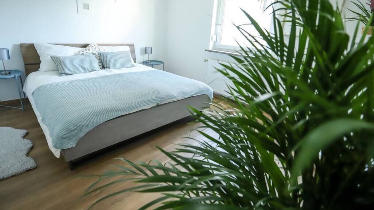 Lechhausen-Ost Apartment | ☆ Double Apartment ☆ 3 King Beds|Kitchen|Parking