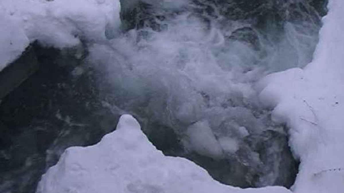 Lintsching Apartment | Double room - Gratzenhof