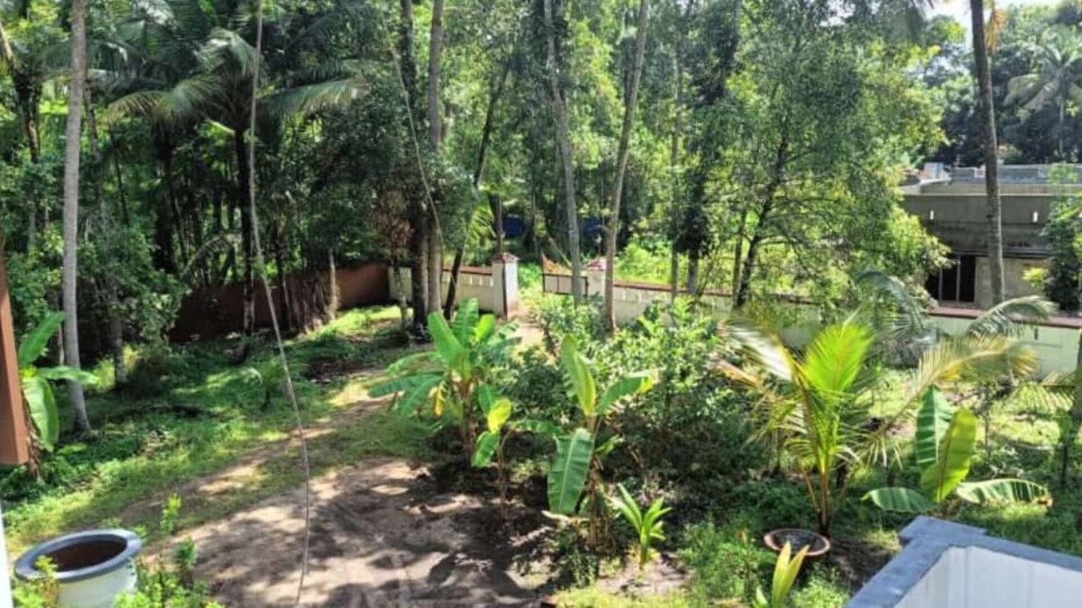 Pattanakkad House | Double room #3 @PEACE HOME STAY