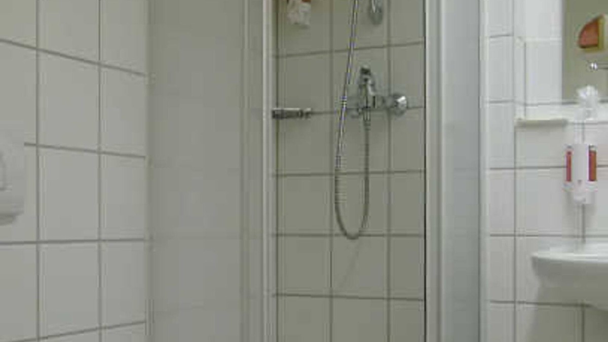 Sangerhausen House | Double Room 3 - Rosen-Hotel Sangerhausen