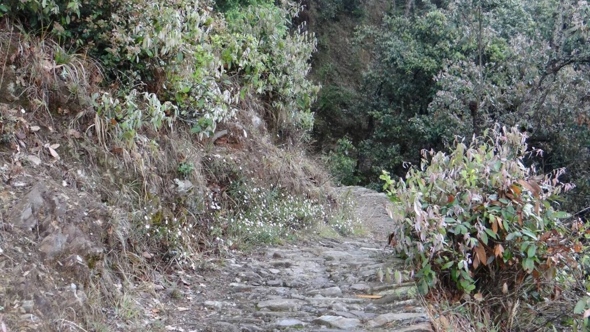 Kaul Bed & Breakfast | Double Room @ Calm Cottages, Nathuakhan