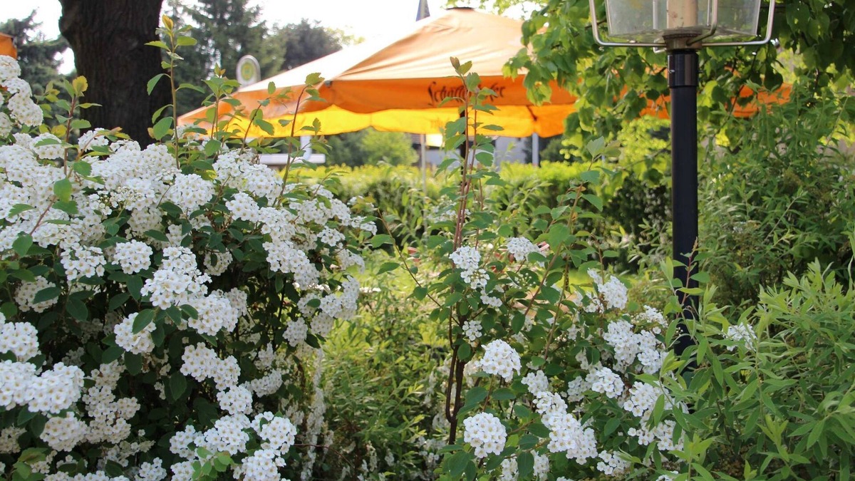 Lohsa Apartment | Double room, max. 2 people - Gasthof & Pension Zur Friedenseiche (Pension)