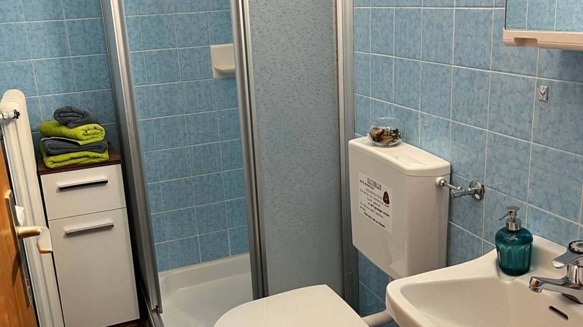 Gleiming Cottage | Double room with shower, WC - Pension Mitterwallner