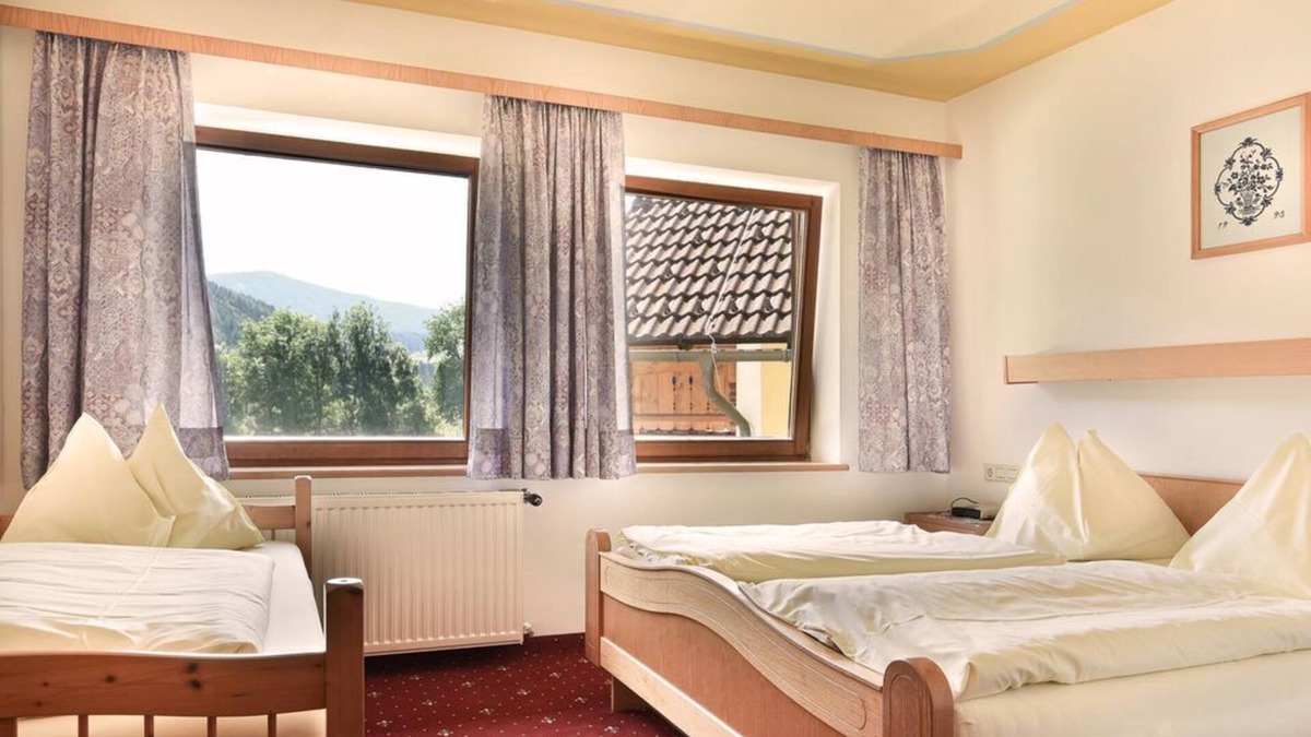 Schoeder House | Double room with shower, WC - Gasthof Neuwirt