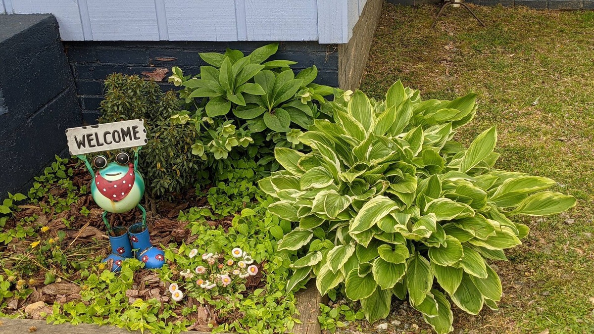 Brevard House | Downtown Bungalow! Dog Friendly - WIFI!