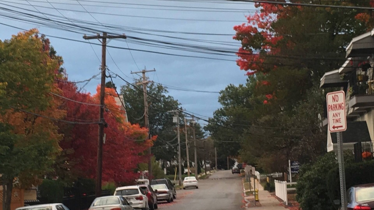 Westborough Condo | Downtown Westborough one bedroom condo with treetop views and private parking