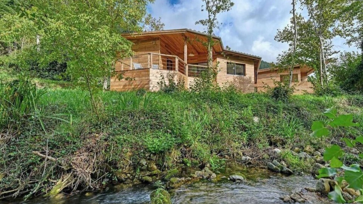 Joncels House | Dragonfly nest