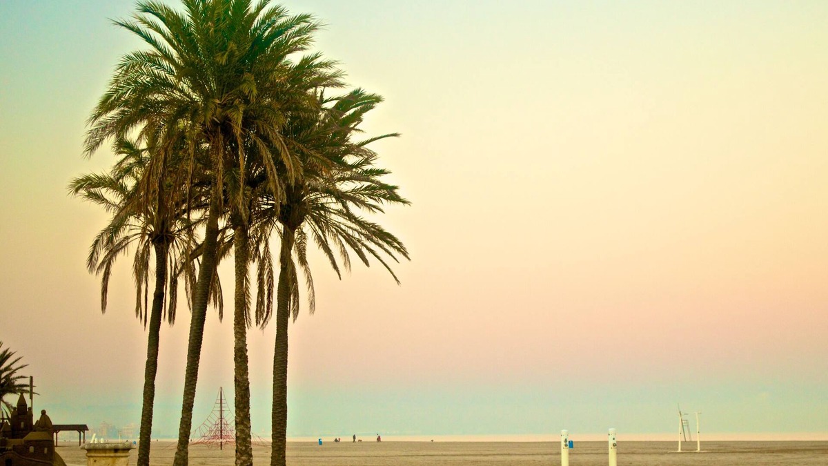 La Malva-rosa House | Dream House on the beach