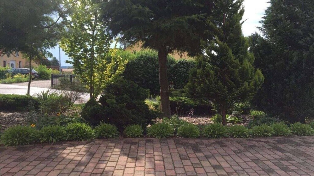 Balm House | Dreamtime Fam. Zimmermann