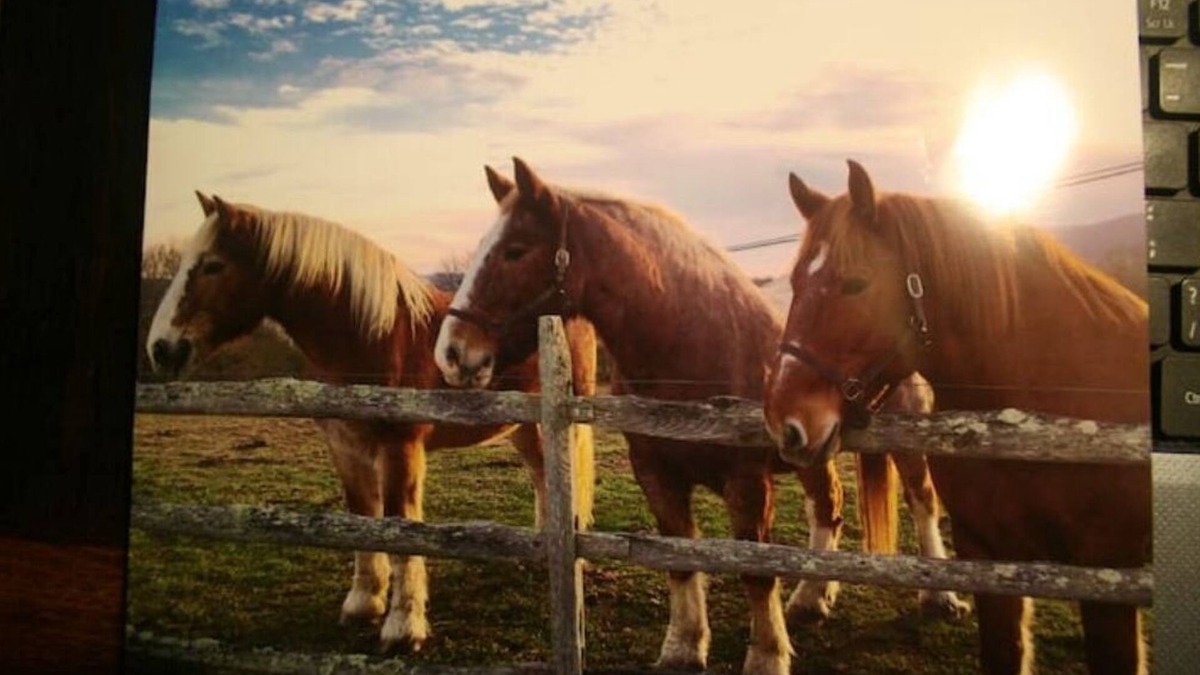 Marlinton House | Drennen Ridge Farm Guest House