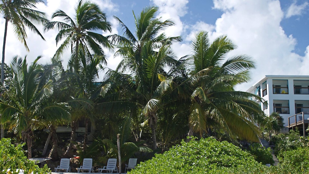 Great Exuma Condo | Driftwood Second Floor Condo at Hoopers Bay With Stunning Views