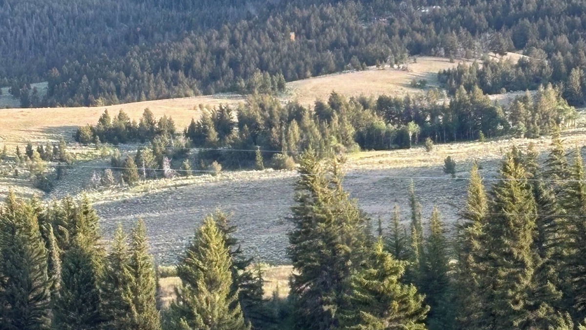 Dubois House | Dubois/Wind River Paradise Cabin