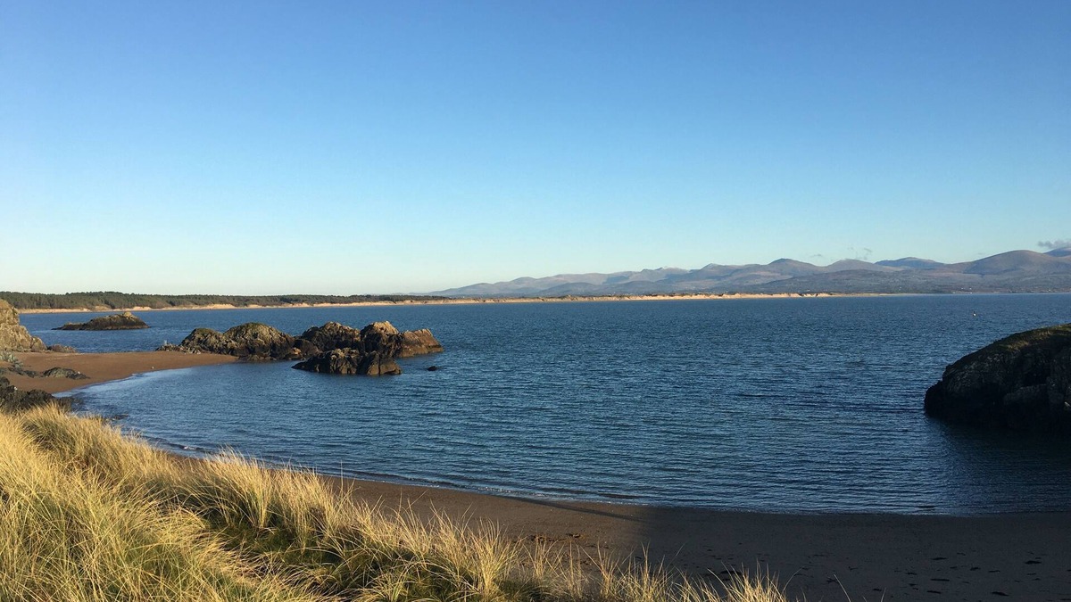 Malltraeth Cottage | Duck House