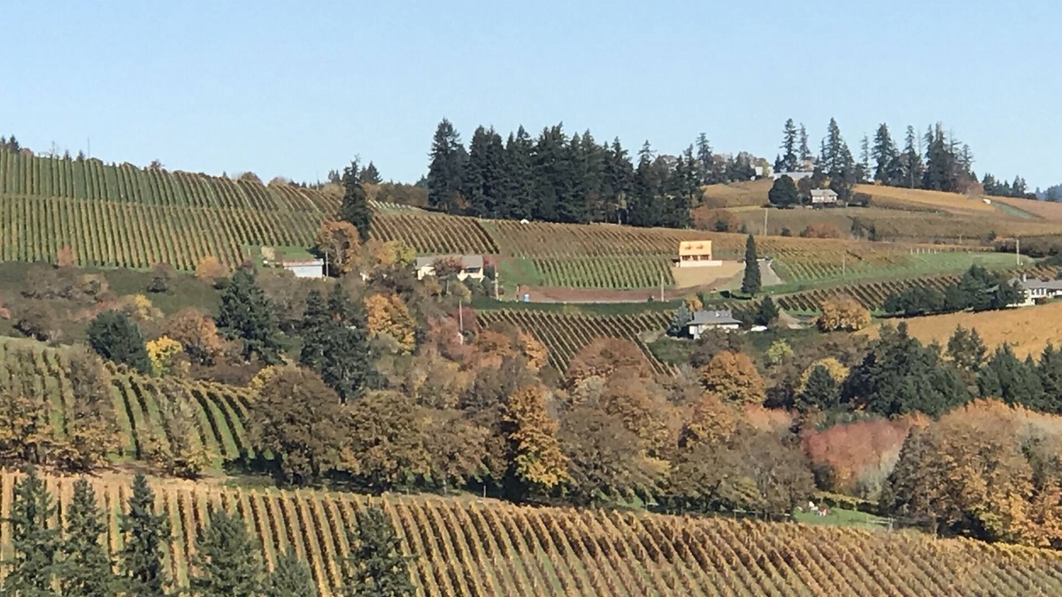 Dundee House | Dundee Hills. 3 Master Suites! Exquisite Oregon Wine Country Experience
