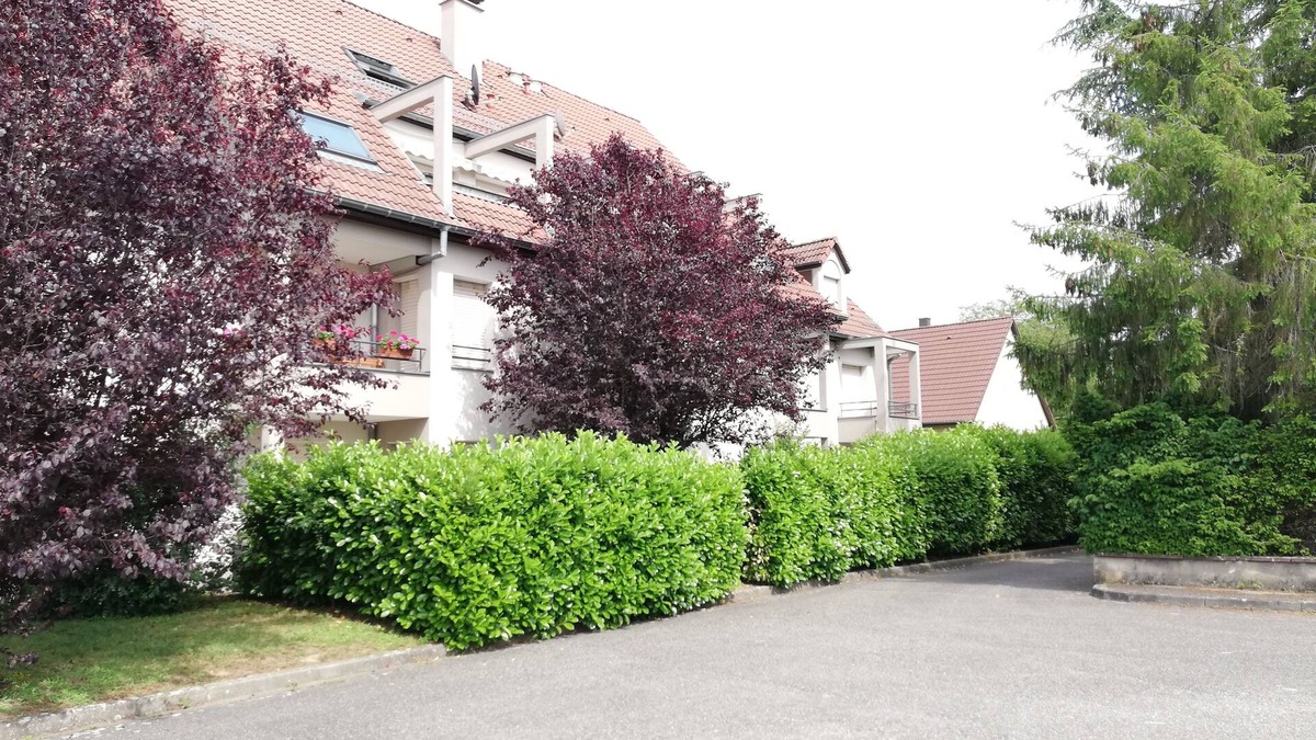 Ensisheim Apartment | Duplex apartment on the ground floor with terrace facing south