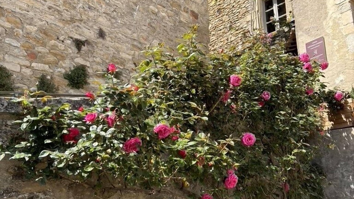 Grignan House | Duplex-au pied du château-Premium-Landmark view-Ensuite