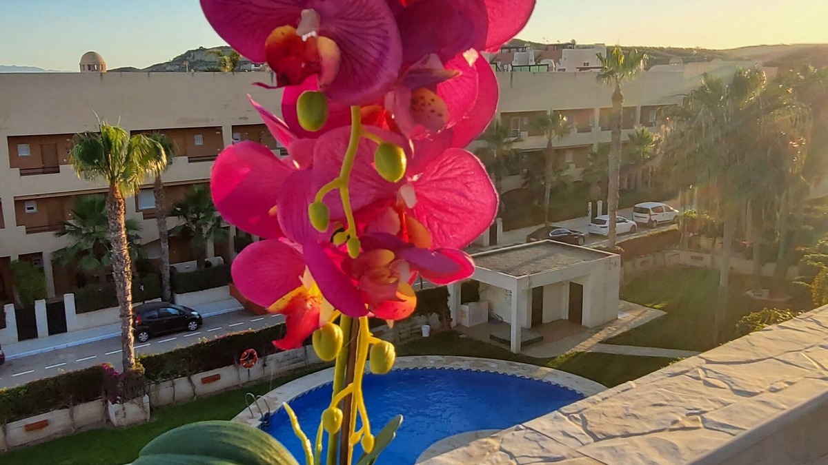 Las Herrerias Apartment | Duplex penthouse with private pool and sea views!