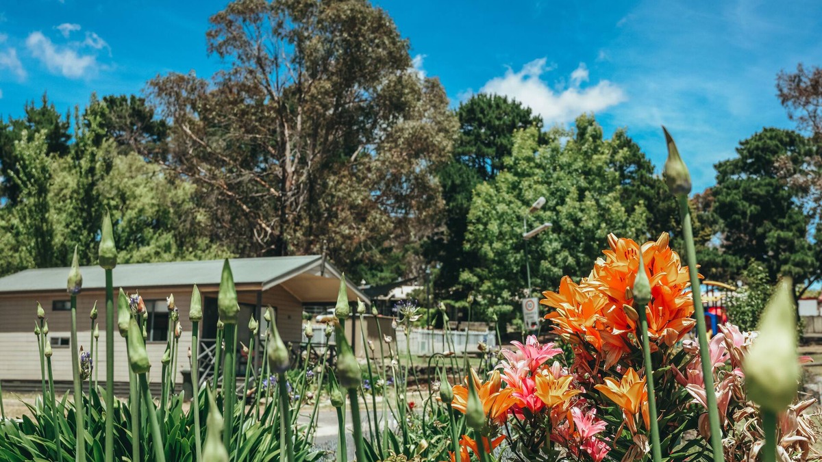 Sutton RV Rental | Eagle Hawk Park