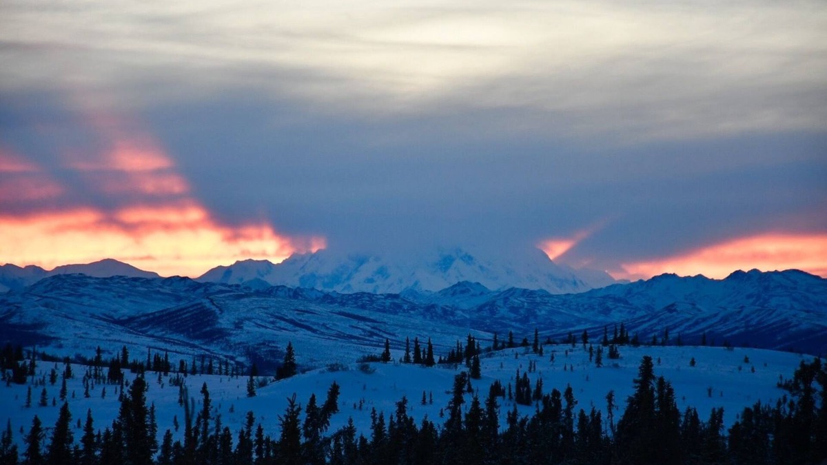 Healy Cabin | Earthsong Lodge
