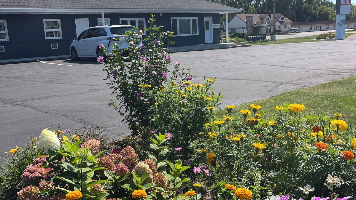 Sarnia Hotel | East Court Motel