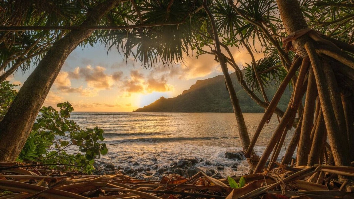 Punaluu House | East Oahu Oceanfront Estate