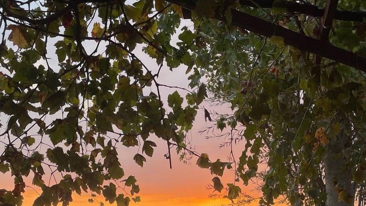 Seydikemer Hotel | Ece Hanı Bungalow Hotel