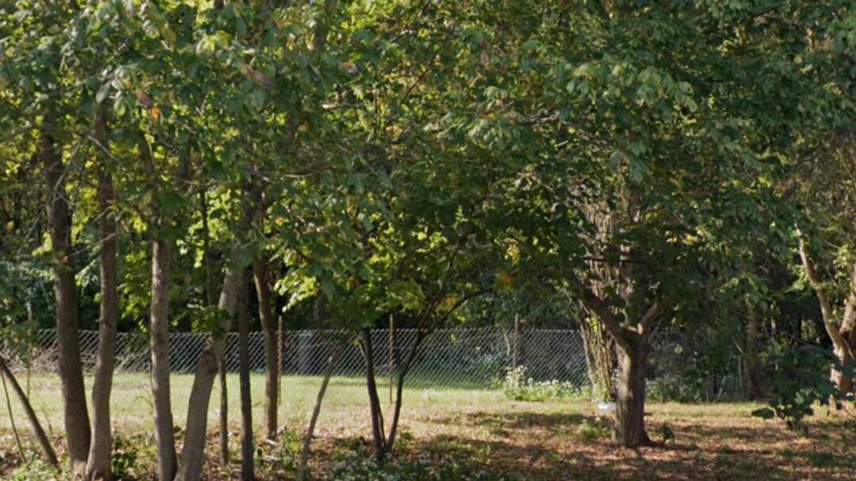 Murphysboro RV Rental | Eclipse Campsite 2