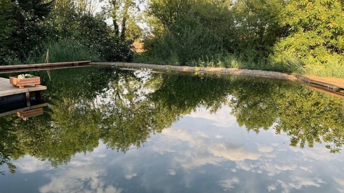 Saint Usuge Bed & Breakfast | Ecolieu Le Chant du Temps Chambre D'hôtes Piscine Naturelle, Sauna Table D'hôtes