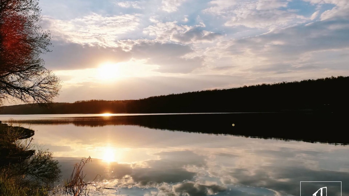Stadtlauringen Apartment | Ecological apartment in the Tinylodge (25sqm) with sleeping lofts and terrace