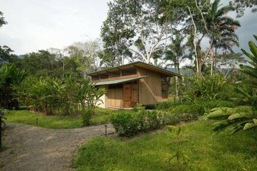 Pillcopata Cabin | Ecotone Manu Bio Lodge All-Inclusive