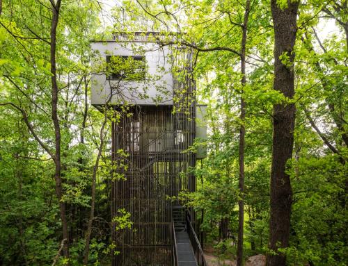 Schrems Cabin | edelførst Baumhäuser