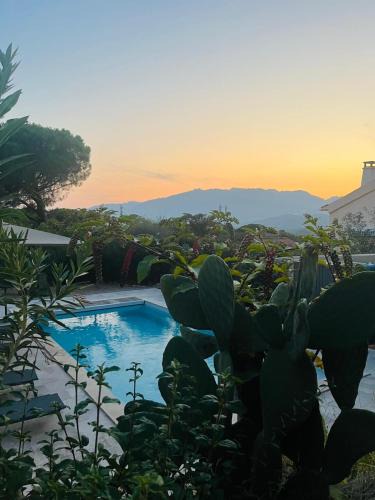 Porto-Vecchio Apartment | Edith et Jean-Paul