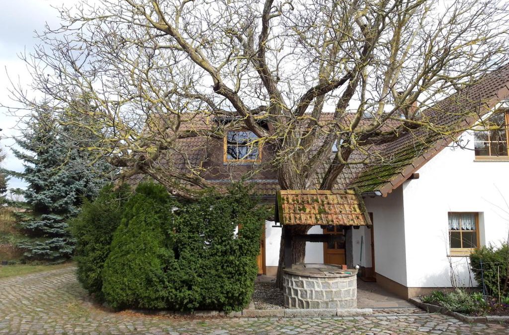 Schonfeld House | Ein Bett im Kornfeld - Haus Weitblick - mit Innenpool