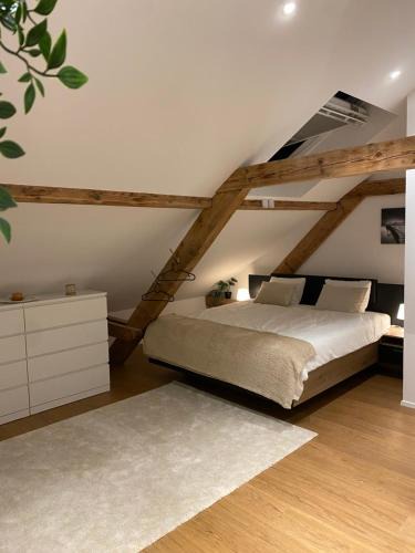 Birsfelden Apartment | Eine schöne Wohnung an der Birs
