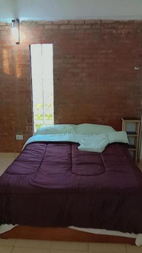 Eldorado Apartment | El Arbol