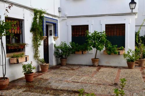 La Trinidad-San Juan y Todos los Santos Apartment | El Patio De La Aljama