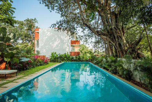 Parra Apartment | El Raso, Premium 1 BHK Apartments with Shared Pool, just 2 mins drive from famous Parra Coconut Tree Road, 24x7 Security, Kitchen, Daily Housekeeping