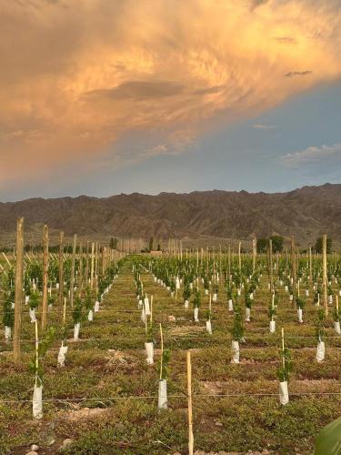 Calingasta Department House | El Refugio